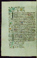 W.282, fol. 98v