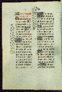 W.289, fol. 110v