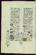 W.289, fol. 196v
