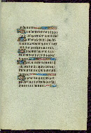 W.292, fol. 43r