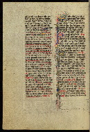 W.300, fol. 13v