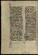 W.300, fol. 37v
