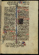 W.300, fol. 41r