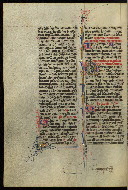 W.300, fol. 96v