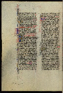 W.300, fol. 101v