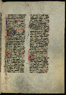 W.300, fol. 110r