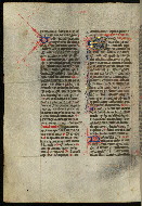 W.300, fol. 116v