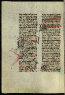 W.300, fol. 132v