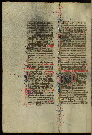 W.300, fol. 142v