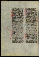 W.300, fol. 187v