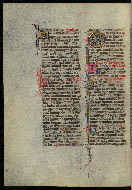 W.300, fol. 195v