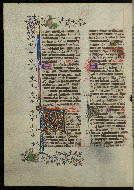 W.300, fol. 213v