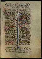 W.300, fol. 238r