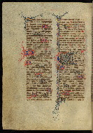 W.300, fol. 244v