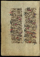 W.300, fol. 252v