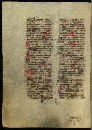 W.300, fol. 258v