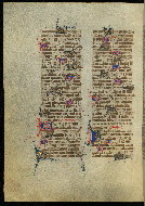 W.300, fol. 260v