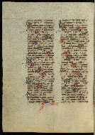 W.300, fol. 263v