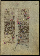 W.300, fol. 276r