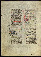W.300, fol. 306v