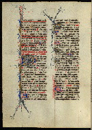 W.300, fol. 308v