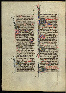 W.300, fol. 310v
