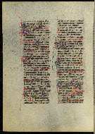 W.300, fol. 313v