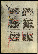 W.300, fol. 318v