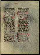 W.300, fol. 354r