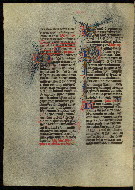 W.300, fol. 354v