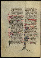 W.300, fol. 367v