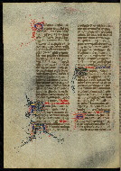 W.300, fol. 392v