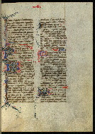 W.300, fol. 393r