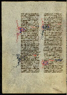 W.300, fol. 393v