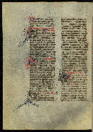 W.300, fol. 395v