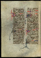 W.300, fol. 396v