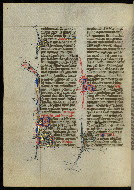 W.300, fol. 401v