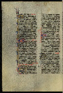 W.300, fol. 483v