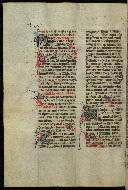 W.300, fol. 494v