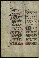 W.300, fol. 498v