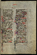 W.300, fol. 499r