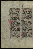 W.300, fol. 503v