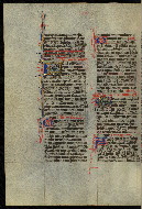 W.300, fol. 505v