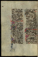 W.300, fol. 506v