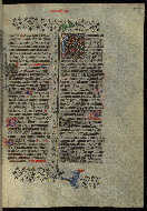 W.300, fol. 507r