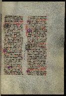 W.300, fol. 509r