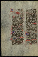 W.300, fol. 509v
