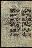W.300, fol. 524v