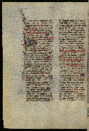 W.300, fol. 531v