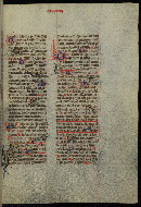 W.300, fol. 555r